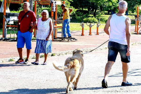 Parque da Juventude