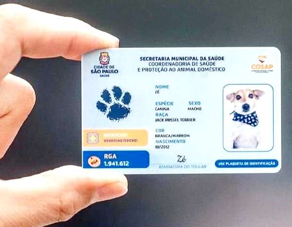 castração de animais