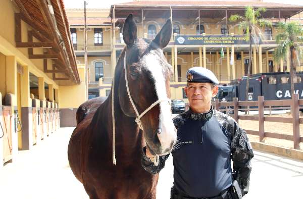 cavalo da polícia militar