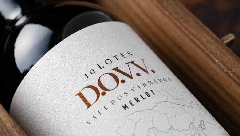 10 Lotes D.O.V.V. Merlot vinho coletivo