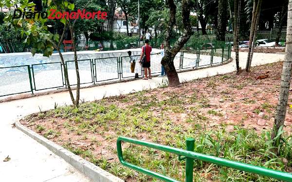 Skatistas Jardim São Paulo